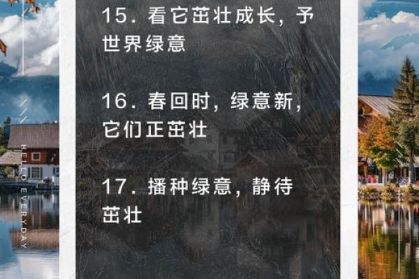 “茁壮成长，茎叶交辉，绿意盎然——草本植物百科全书”