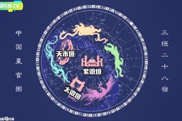 紫薇斗数是帝王学