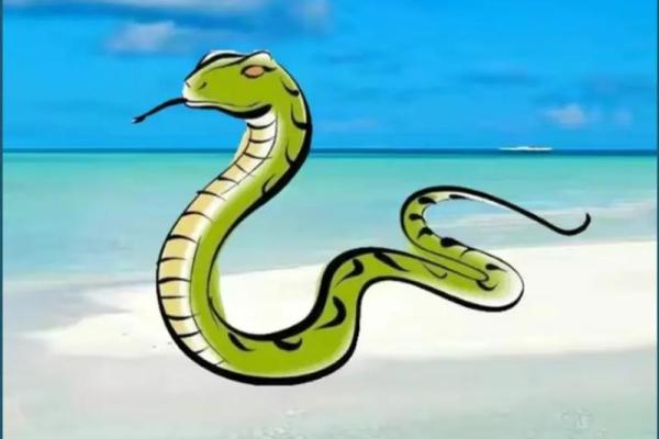 属蛇是哪一年出生的 属蛇的男孩出生吉日