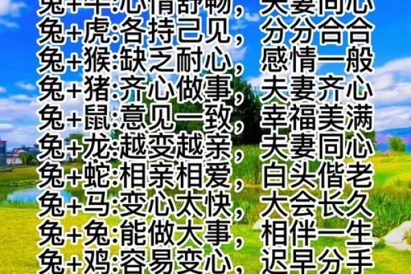 姻缘配对百分之几