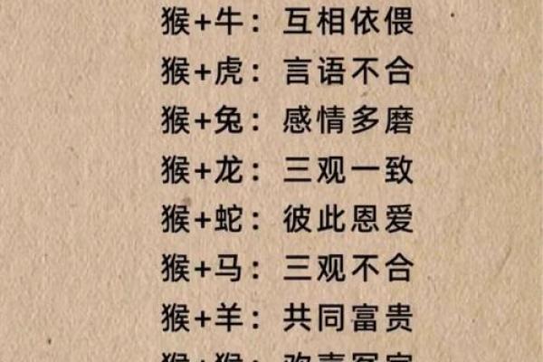 姻缘配对百分之几