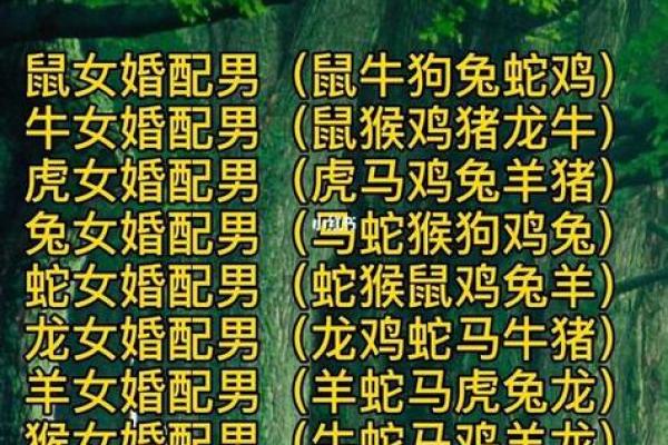 猴和什么属相最配相冲相克呢 猴和什么属相最配对男