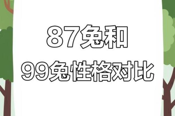 87兔和92猴的八字合不合
