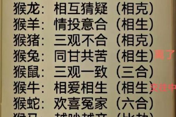 87兔和92猴的八字合不合