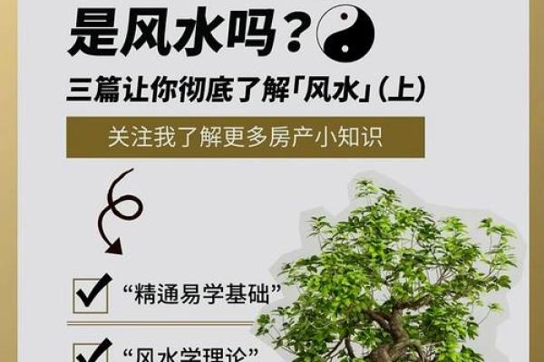 看风水技巧，带你掌握人生奥秘