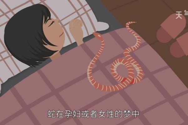 梦见算命说我身体不好