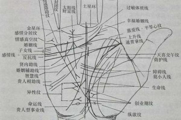 怎么看手相算命，怎么看手相算命图解