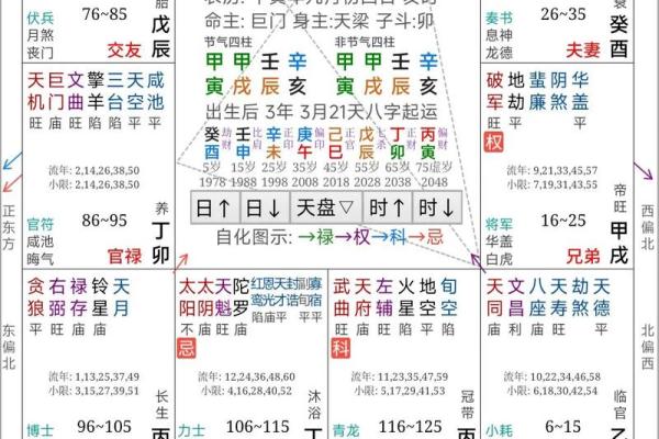 紫薇斗数事业算命