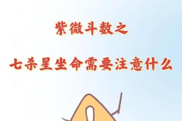 灵机紫薇斗数苹果版 灵机紫薇斗数苹果版