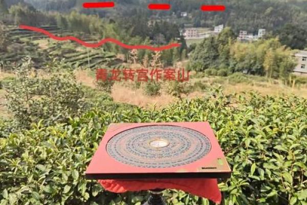 墓地风水的讲究 墓地风水的讲究