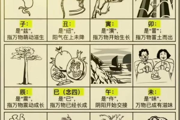 八字祸害的意思,算命中祸害 八字祸害的意思,算命中祸害