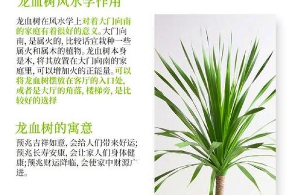 什么是风水呢?调整风水的意义 什么是风水呢?调整风水的意义