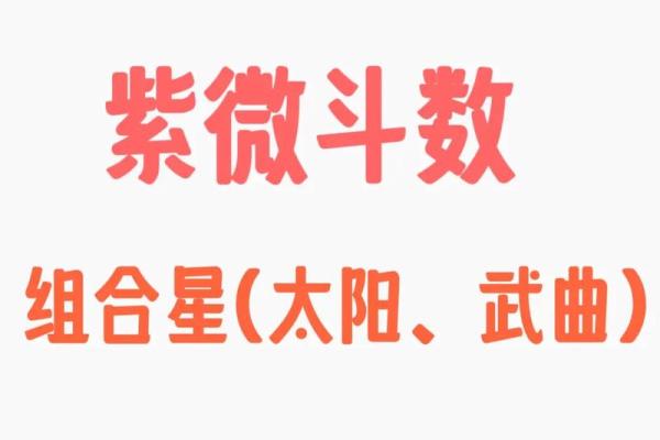 紫薇斗数辅助星