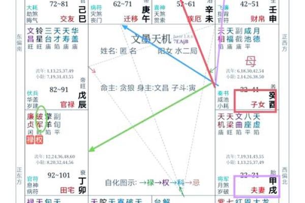 紫薇斗数太阳坐命宫
