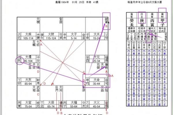 紫微斗数实战 紫微斗数实战案例? 紫微斗数实战 紫微斗数实战案例?
