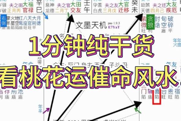唐艺尹老师主讲:紫微斗数综合看事业 唐艺尹老师主讲:紫微斗数综合看事业