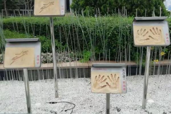 澳门哪里有算命