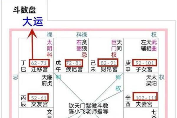 民间紫薇斗数高手