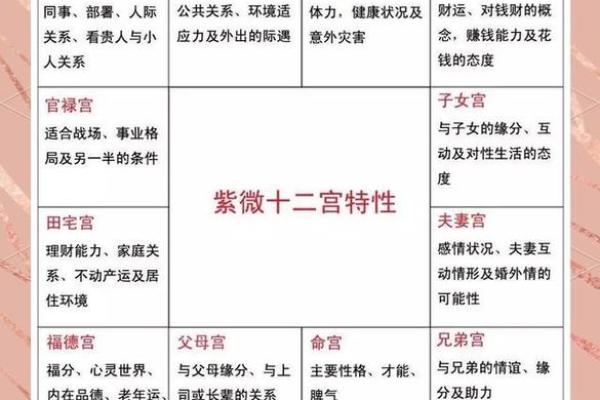紫薇斗数对人有什么影响