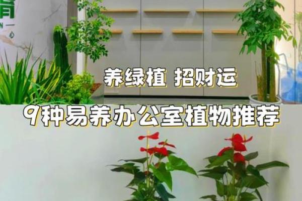 办公室风水禁忌 帮你打造好风水格局 给你招财改运