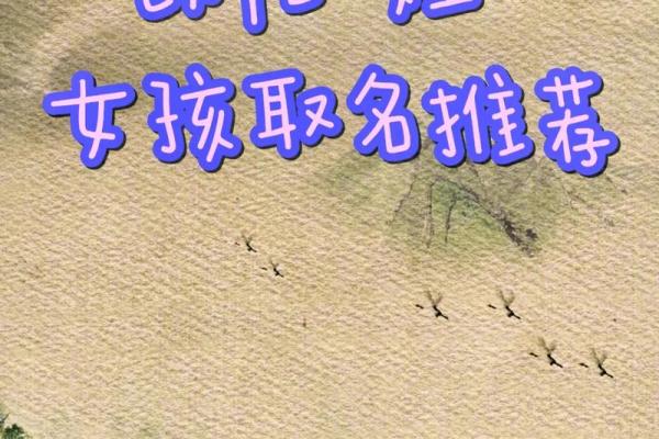 2021年7月5日出生的女孩取名大全,清新有诗意姓名