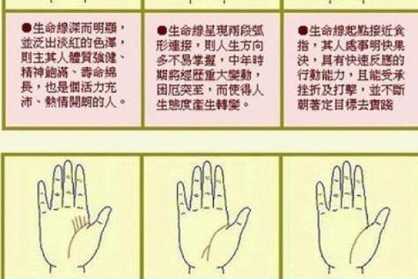 看手相算命：第四课 论事业命运