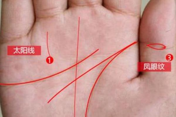 看手相算命：第四课 论事业命运