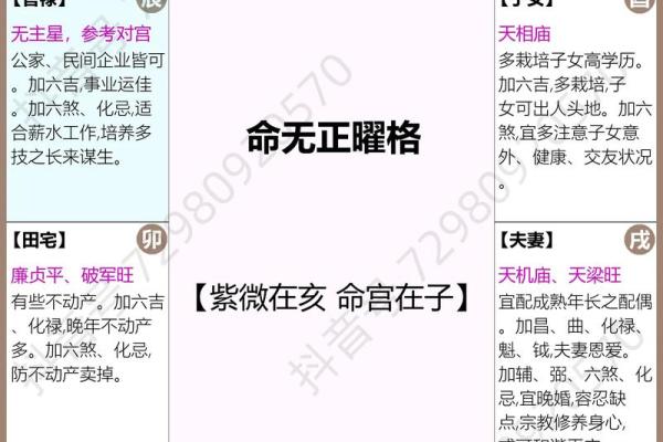 紫微斗数查询自己的命宫 命宫在寅的人命格如何