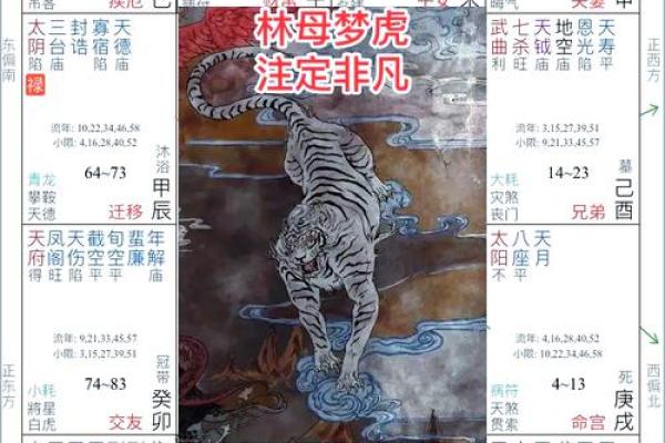 紫薇斗数嫁贵夫 紫薇斗数嫁贵夫