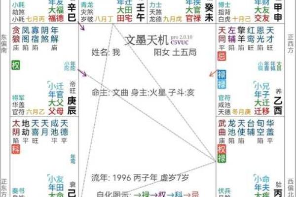 台湾紫微斗数小限派 紫微斗数小限排盘？