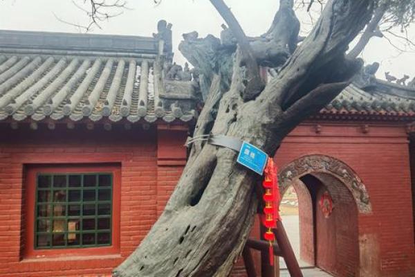 洛阳吕祖庙算命