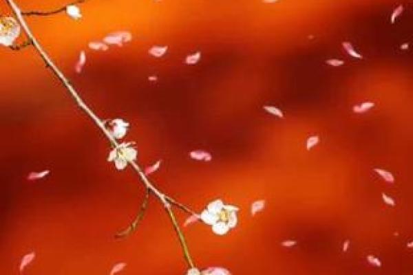 容易被情所困的八字 易沉迷感情7个字 容易被情所困的八字 易沉迷感情7个字