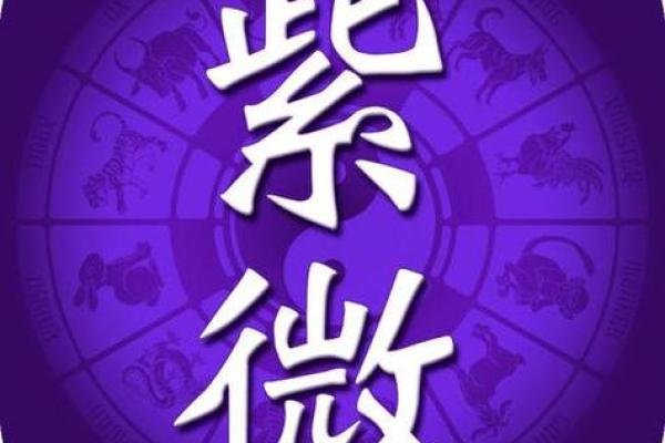 测紫薇斗数app 测紫薇斗数app