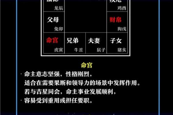 测紫薇斗数app 测紫薇斗数app