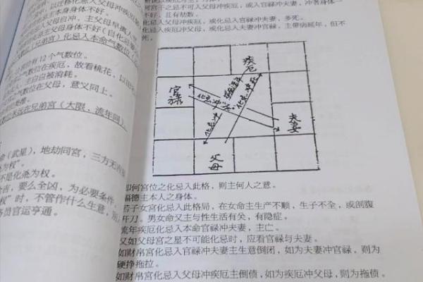 紫薇斗数性向 紫薇斗数性向
