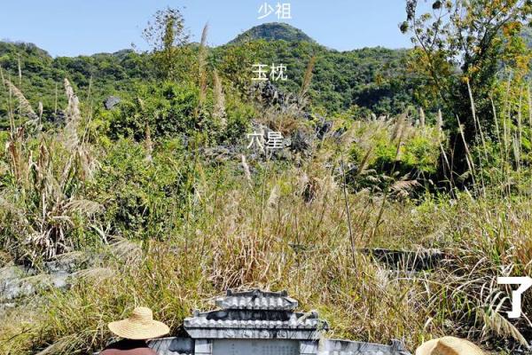 如何看祖坟地风水宝地