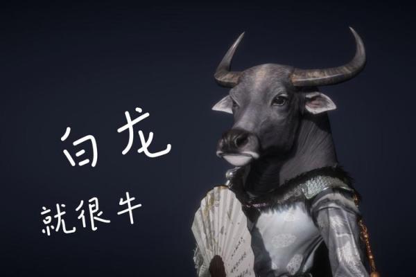 白龙八字 白龙八字