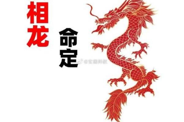 白龙八字 白龙八字