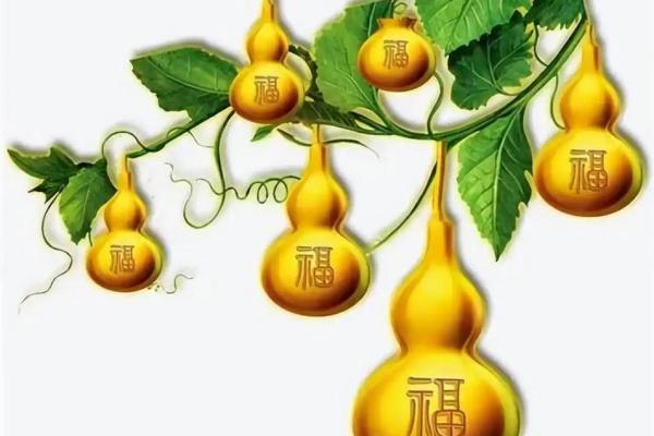 家居财运风水，带给你好运连连