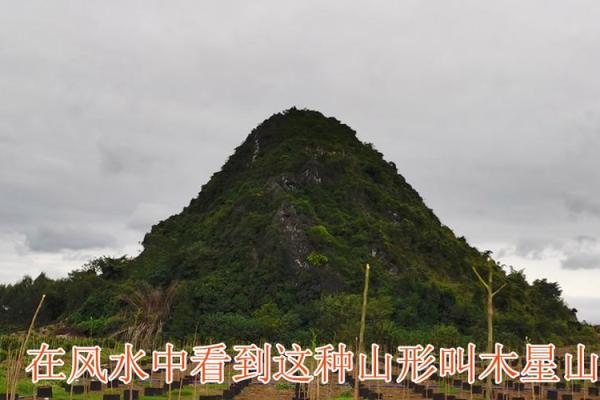 风水先生_摇鞭赶山法 风水先生_摇鞭赶山法