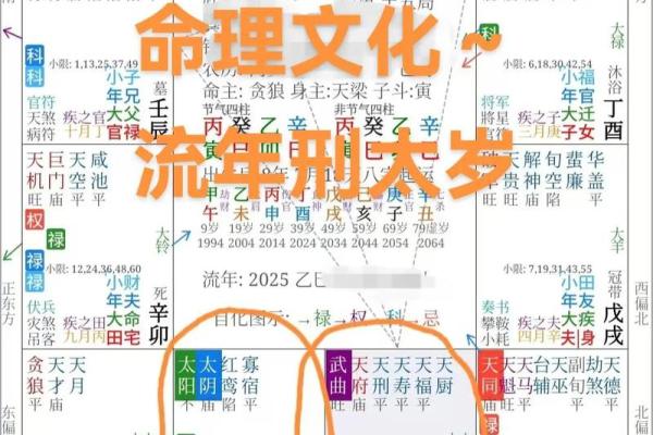 紫薇斗数科学还是玄学 紫薇斗数科学还是玄学