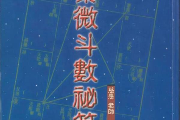 改良紫薇斗数全书