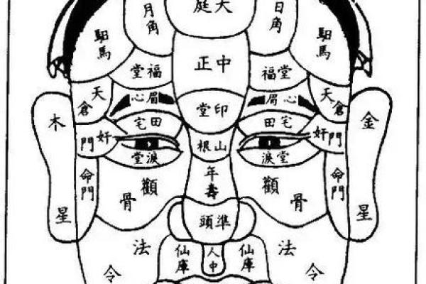 人脸拍照算命女 人脸拍照算命女