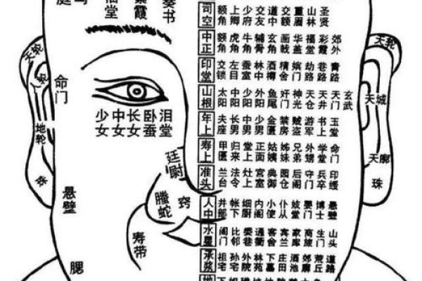 相书算命面相 相书中的面相能算命吗