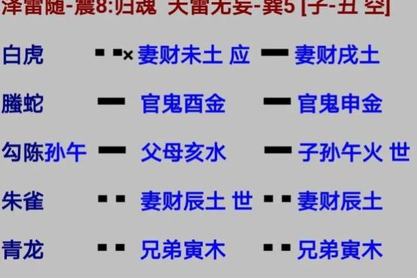 抽签算命占卜每日一占,六爻龟壳每日一卦
