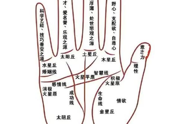 掌纹算命可靠