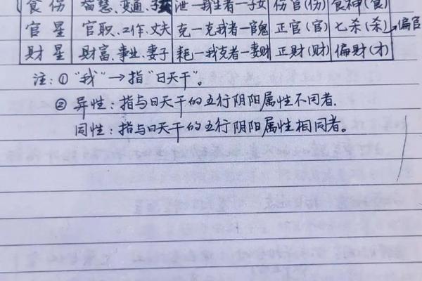 学会了算命