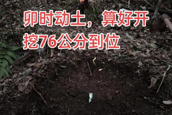 葬到风水宝地的预兆