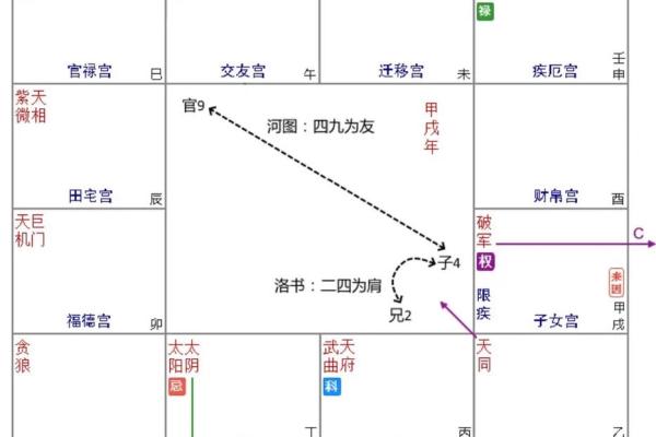 紫薇斗数各种格局 紫薇斗数各种格局