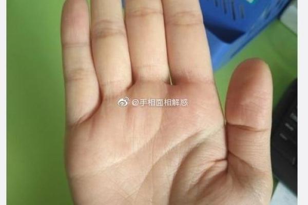 八字算命术和手相面相哪个更准确